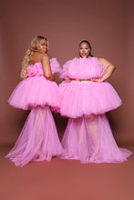 Load image into Gallery viewer, Swan Sheer Dress