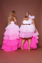 Load image into Gallery viewer, Pink Ombré Bow Skirt Set