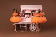 Load image into Gallery viewer, Tulle Sleeve Mini Skirt Set