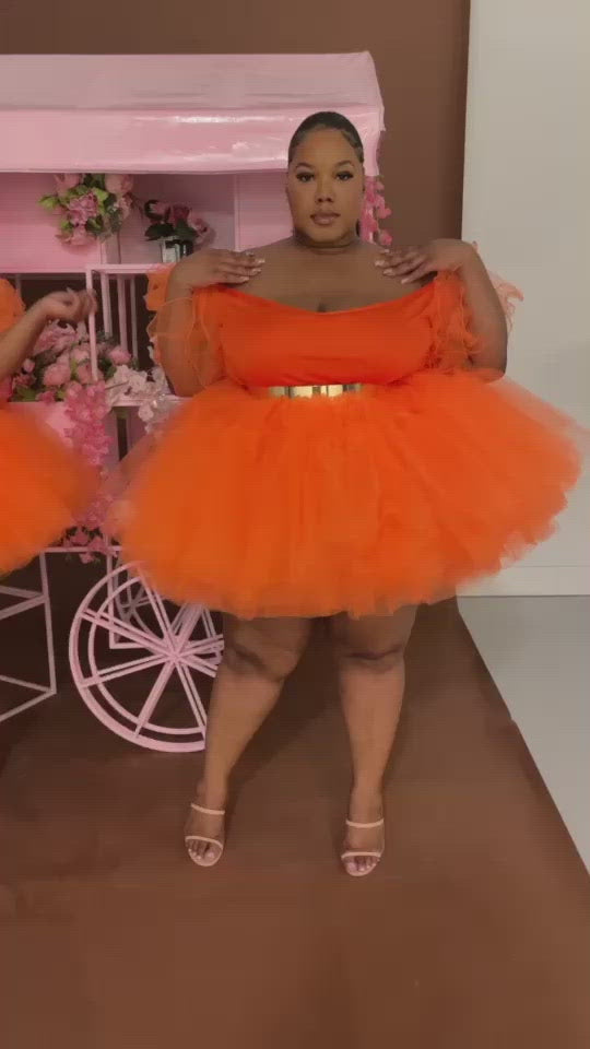 Plus size tulle outlet skirt video