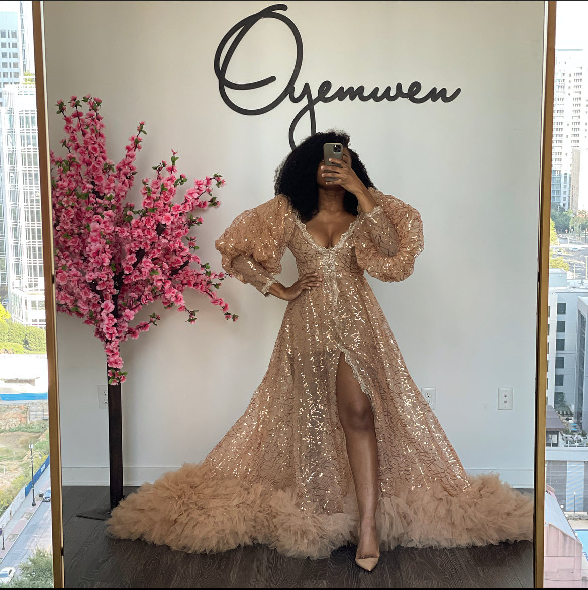 Sequins Veined Tulle Dress 22