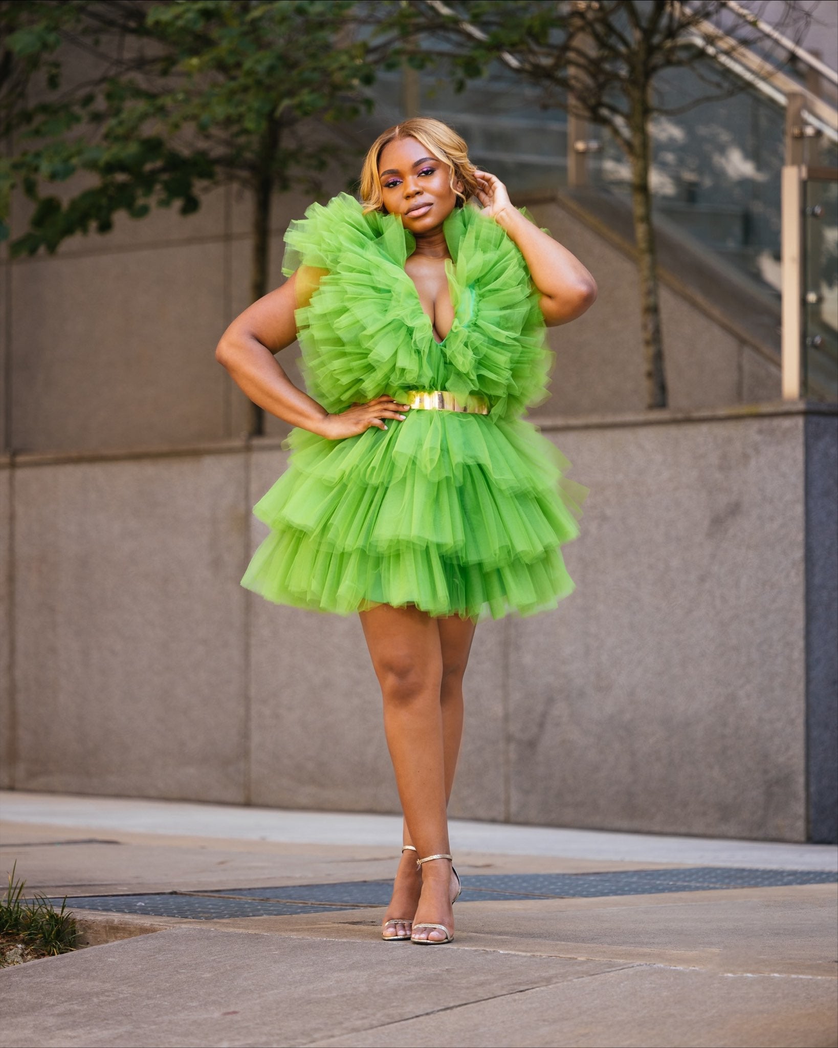 Green Peacock Tulle Dress 22 Green Peacock Tulle Dress 22