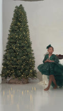 Load and play video in Gallery viewer, Custom made kids Emerald dress
