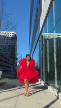 Load and play video in Gallery viewer, Sophia Tulle Dress
