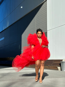 Sophia Tulle Dress