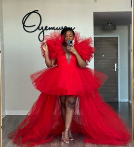 Sophia Tulle Dress